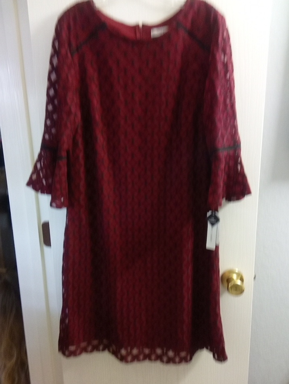 Sandra Darren Burgundy Lace Shift Dress